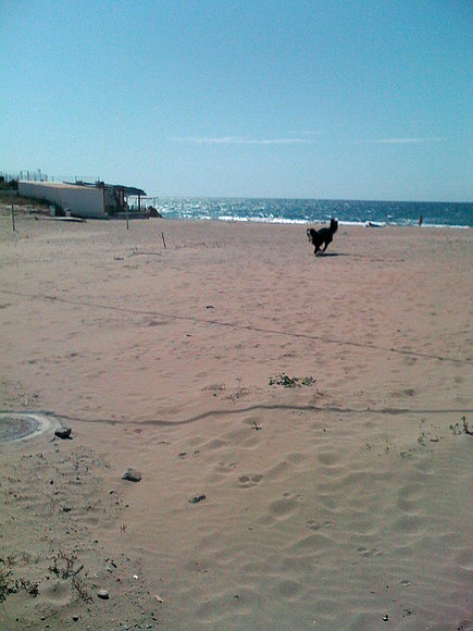 jugando en terreros