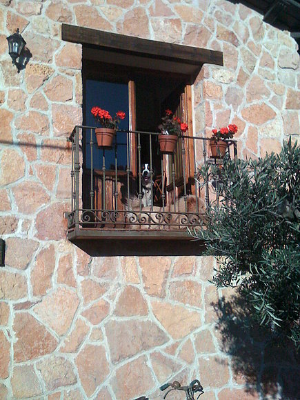asomaditos