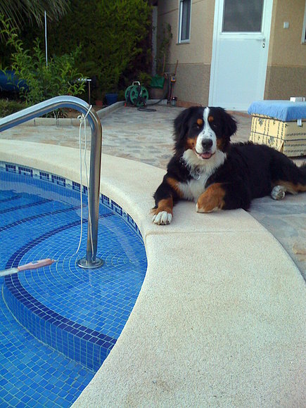 mia en la piscina