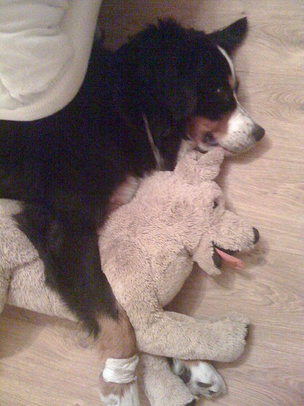 mia y su compi ron