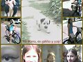 Collage
