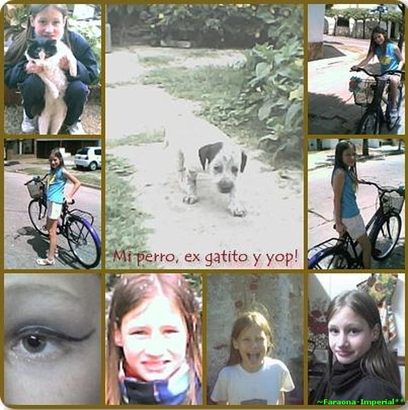 Collage