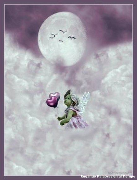 Un vuelo rosa