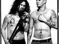Dimebag Darrell y Phil Anselmo