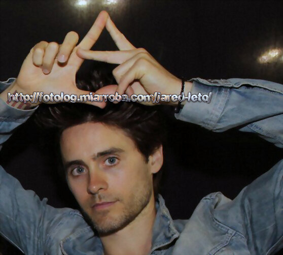 Amor