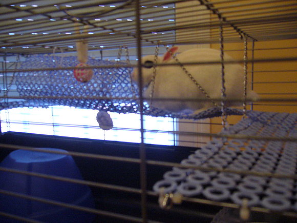 Toy apunto de cruzar el túnel
