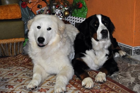 Jana y Nube!!!