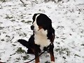 Jana su 1&ordm; d&iacute;a en la nieve
