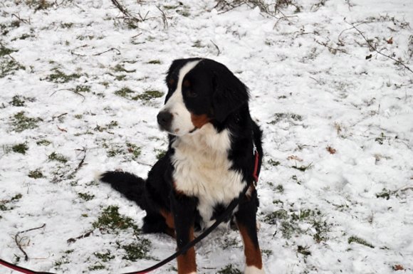 Jana su 1º día en la nieve