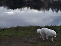 Nube meditando