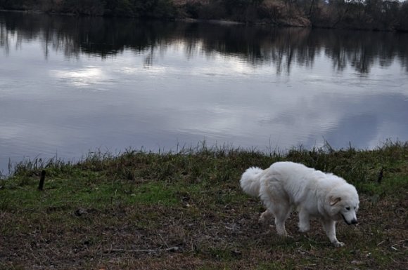 Nube meditando