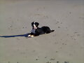 Jana en la playa.