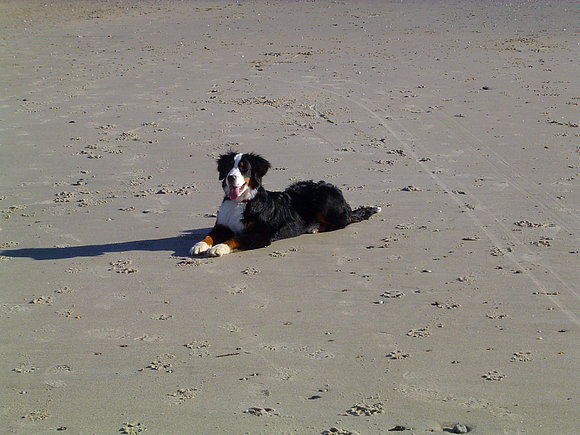 Jana en la playa.