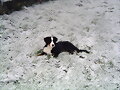 jana en la nieve
