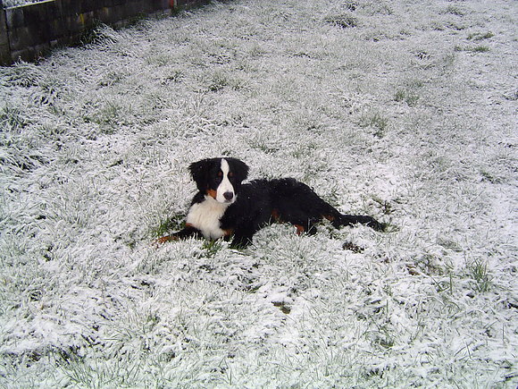 jana en la nieve