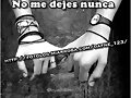 Sin comentarios