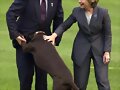 El perro del cura Marcial Maciel.