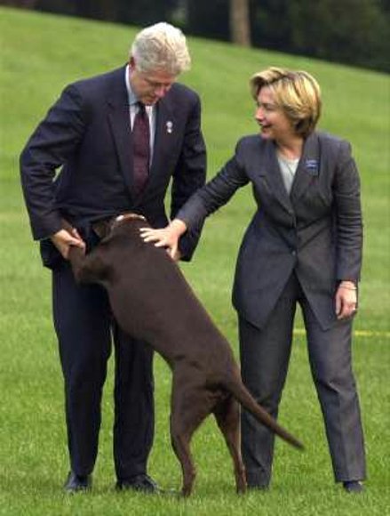 El perro del cura Marcial Maciel.