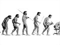 La evolucion.