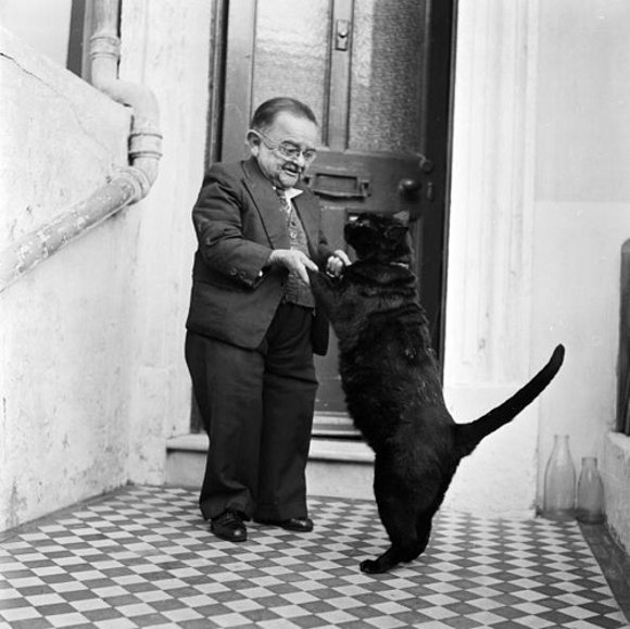 ¿Es un gatote?