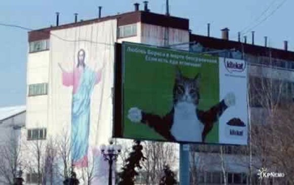 Un gato imitando.