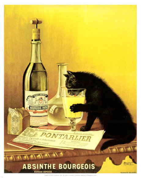Gato de buen gusto.
