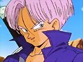 Trunks