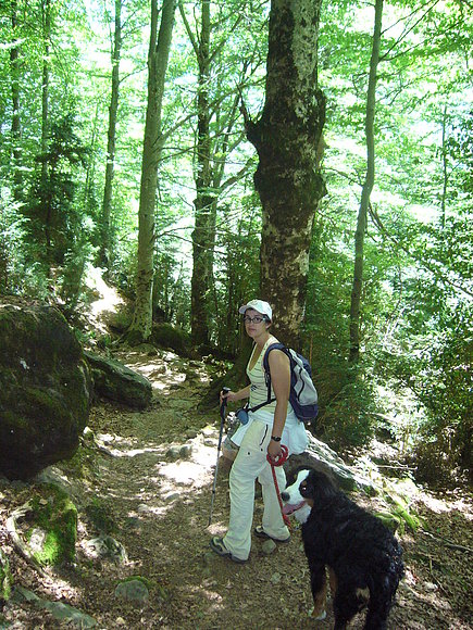 Pineta (Huesca)