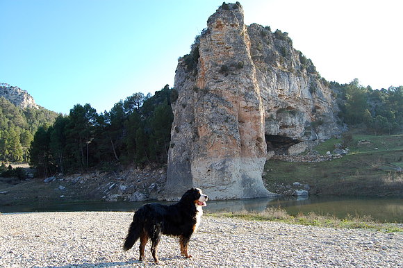 De paseo por el rio ...