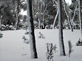SOBEK PASANDOSELO EN GRANDE CON LA NIEVE