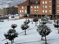 Nevada Enero  9/1/10 (Langreo)