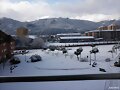 Nevada Enero  9/1/10