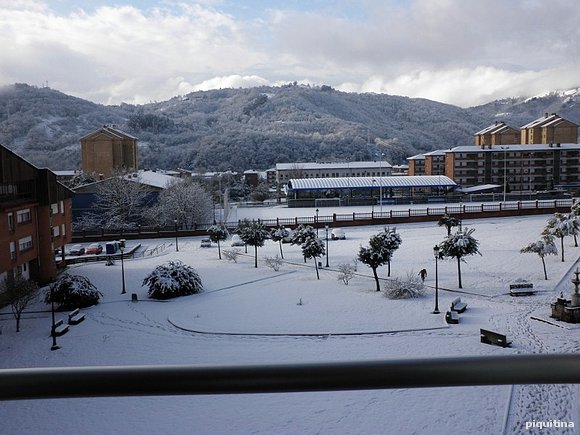 Nevada Enero  9/1/10