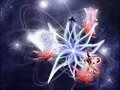 el universo