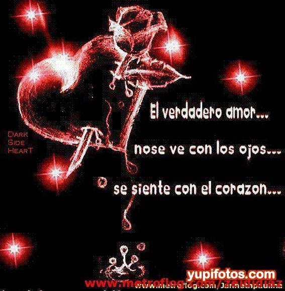 Dame