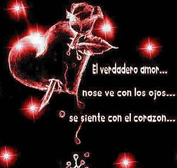 24 horas del día