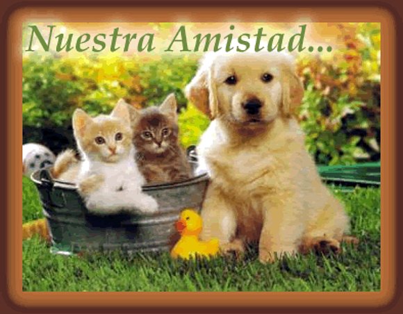 La amistad