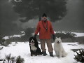 31 de diciembre de 2008. &iexcl;Feliz a&ntilde;o!