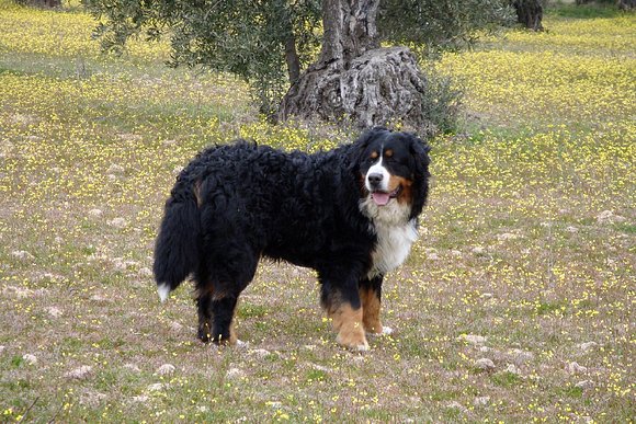 Fausto... con dos años