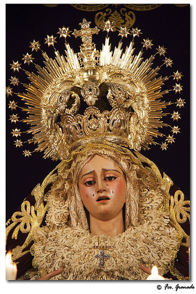 Rosa de la mañana la Virgen de los Dolores Arahal