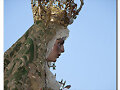 No hoy flor m&aacute;s bonita en Sevilla Macarena y basta