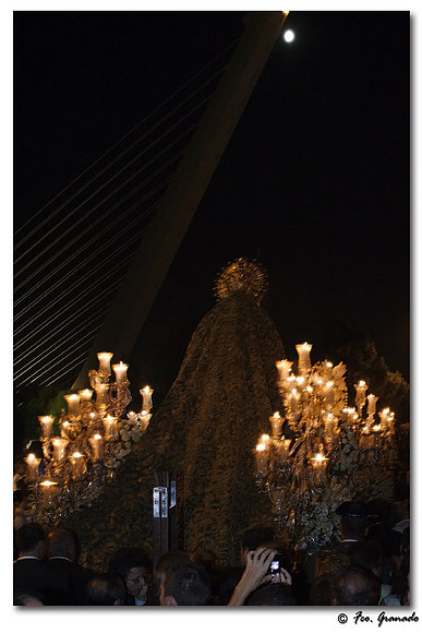 La Rosa más bonita de San Gil de Sevilla
