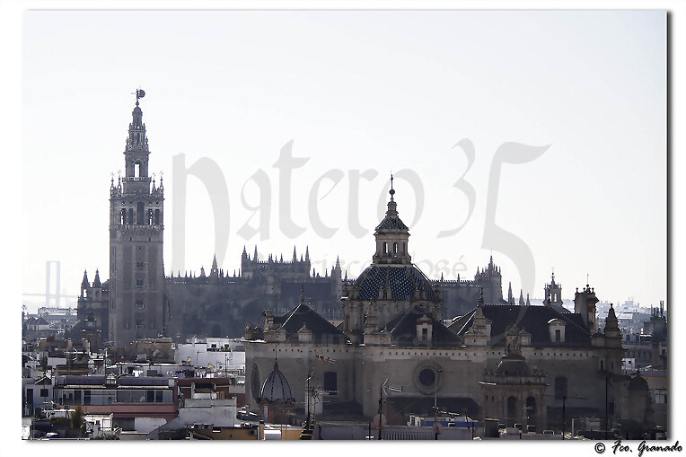 Vistas Metropol Parasol de la Encarnación Sevilla