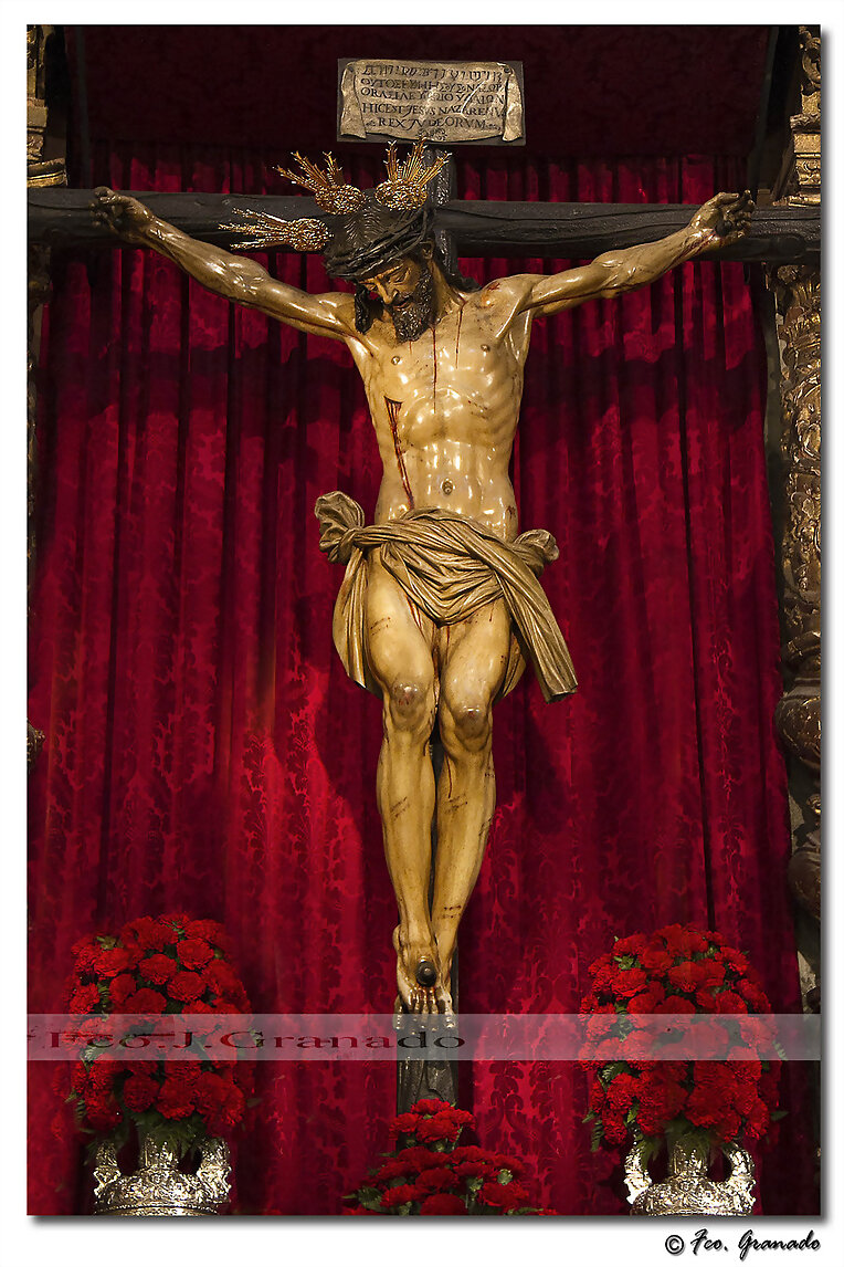 Galería de Fotos Hermandad del Calvario Sevilla