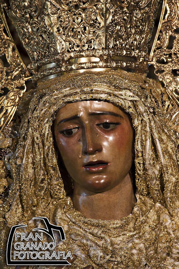 Galería. Hermandad de la Amargura 2013