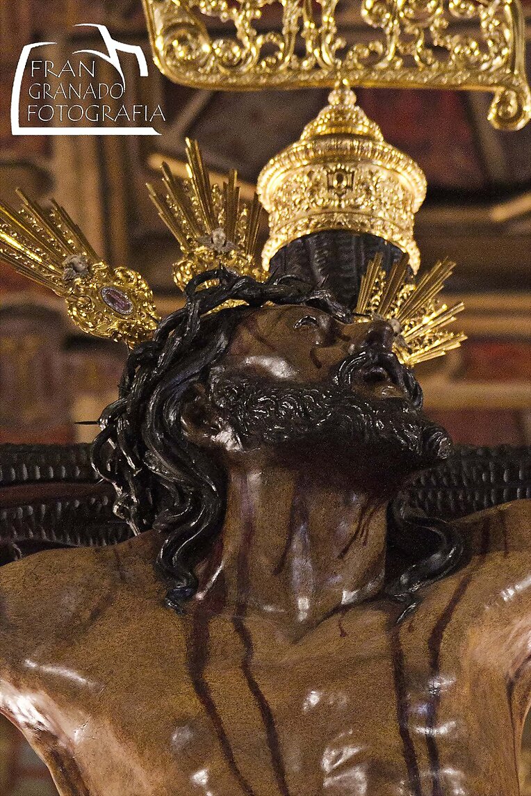Galería. Hermandad del Museo Sevilla 2013