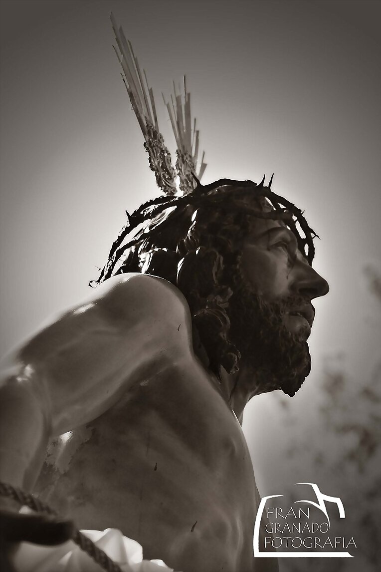La Hdad. de Jesús Despojado. Sevilla 2013