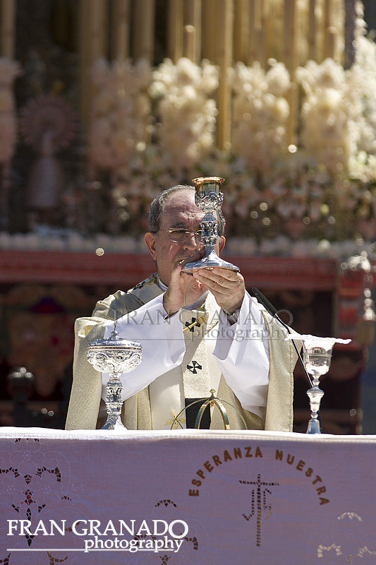 Esperanza Macarena 50 años Coronada. 2ªPart. 2014