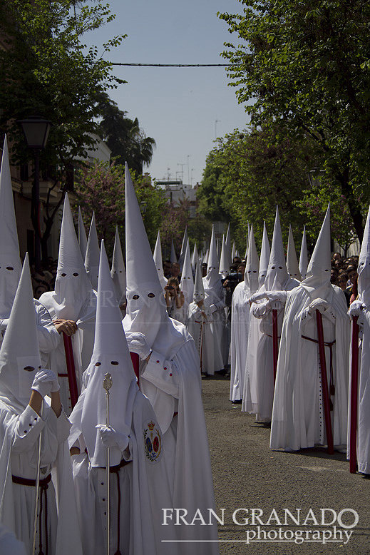 La Hermandad de la Paz. Domingo de Ramos 2014 1ªPa