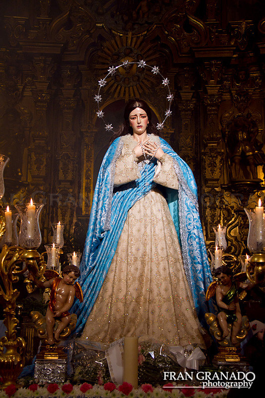 Rosario de la Hdad. de la Misericordia 2014